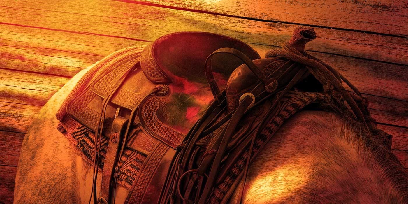 Picture of a horses saddle