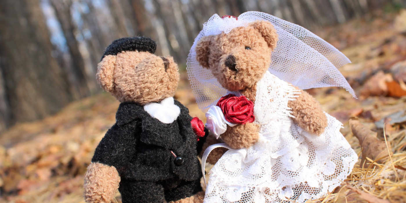 Photo of two teddies dressed as a bride and groom